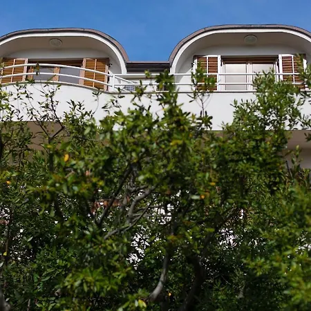 Vjekoslav * Krk Town